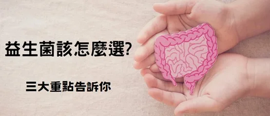益生菌挑選，三大重點