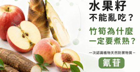 水果籽不能亂吃？竹筍為什麼一定要煮熟？介紹植物天然防禦物質氰苷與常見含氰苷食物的食品安全封面圖